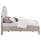 Evangeline Wood Queen LED Panel Bed Silver Oak
