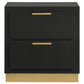 Caraway 2-drawer Nightstand Black