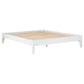 Hounslow California King Universal Platform Bed White