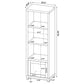 Sachin 3-shelf Engineered Wood Media Tower Dark Pine