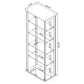 Delphinium 4-Shelf Clear Glass Curio Display Cabinet Black