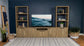 Tabby 4-door Engineered Wood 60-inch TV Stand Mango
