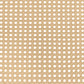 Lanewood Open Cane Webbing Metal Eastern King Bed White