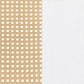 Lanewood Open Cane Webbing Metal Eastern King Bed White