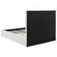 Felicity 53-inch Upholstered Twin Platform Bed White