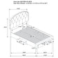 Marianna 4-drawer Upholstered Queen Storage Bed Cream
