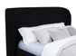 Blaire Upholstered Queen Wingback Platform Bed Black